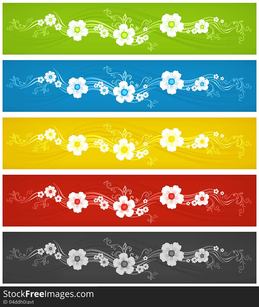 Color backgrounds with lines and white flowers, vector illustration. Color backgrounds with lines and white flowers, vector illustration