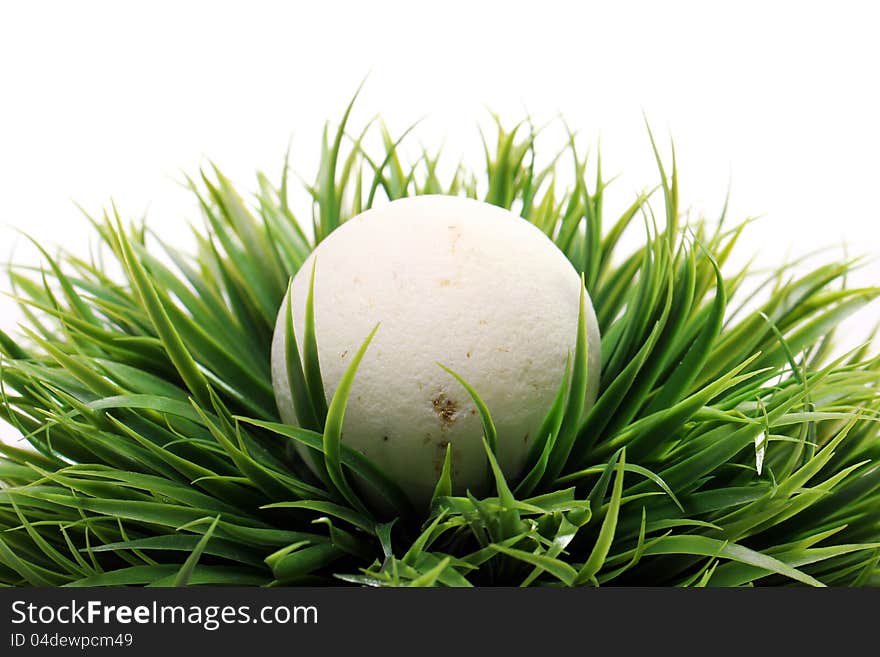 Soap For Bath In Grass