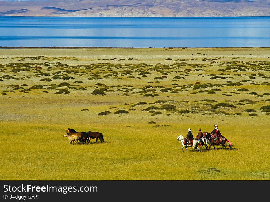 In the Holy Lake manasarovar in Ngari, Tibet, China the wrong side on horse herders. In the Holy Lake manasarovar in Ngari, Tibet, China the wrong side on horse herders