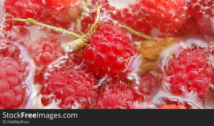 Raspberry fruit