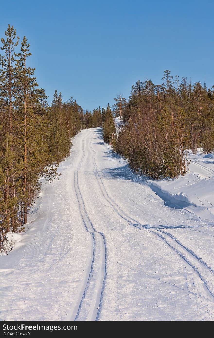 Freshly groomed empty cross-country ski track in woods. Freshly groomed empty cross-country ski track in woods