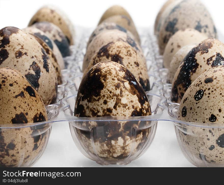 Quail eggs close-up.