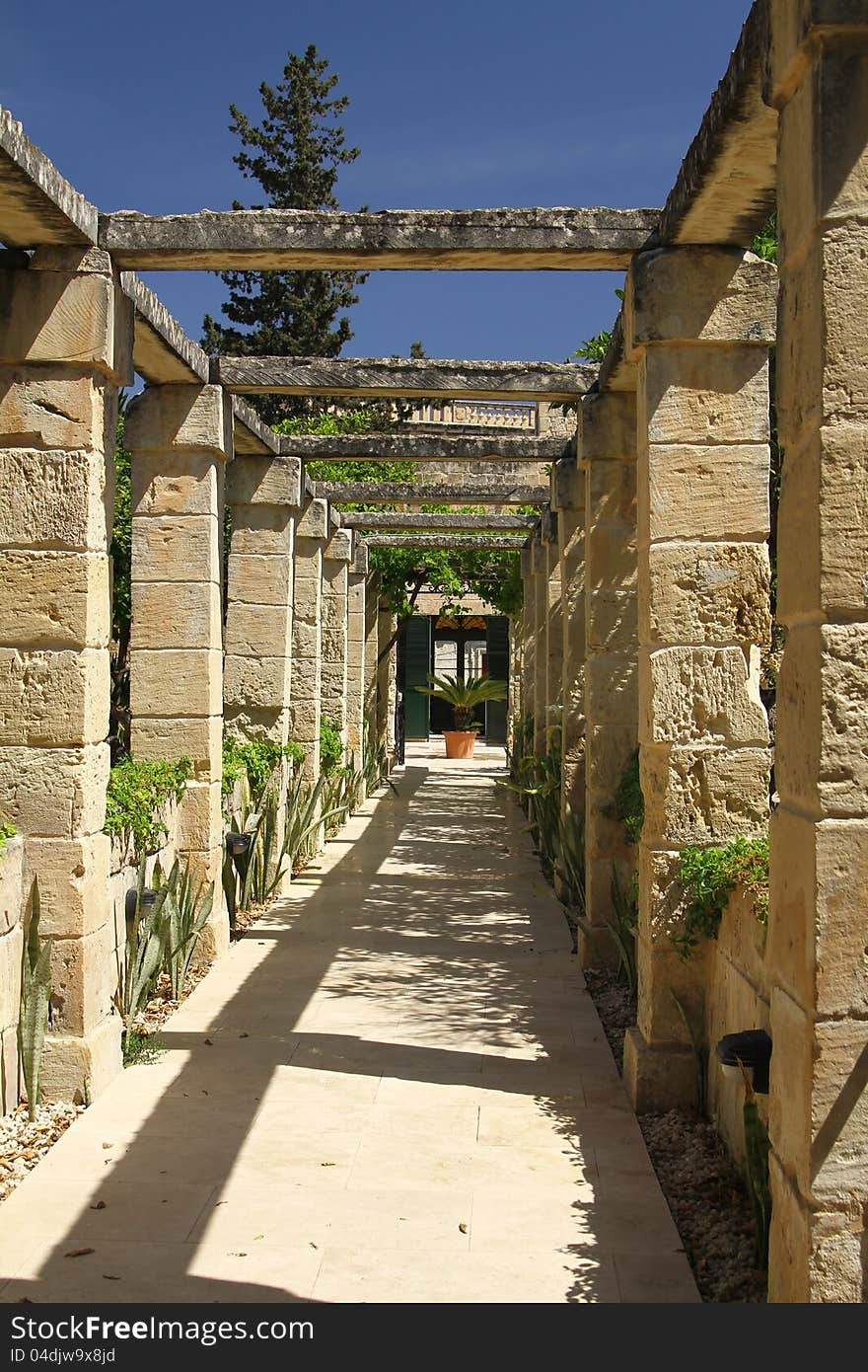 Walkway in a tropical garden on a day with a clear blue sky