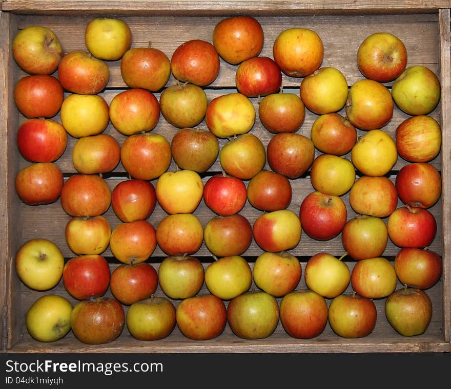 A Wooden Box Holding Some Freshly Picked Apples.