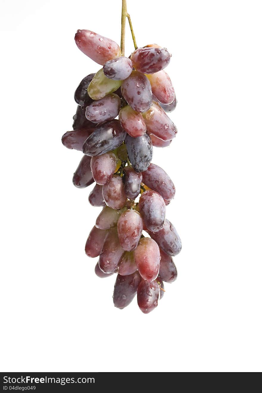 Red grapes  in a white background.