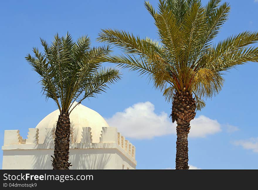 Palms and building with a blue sky. Palms and building with a blue sky