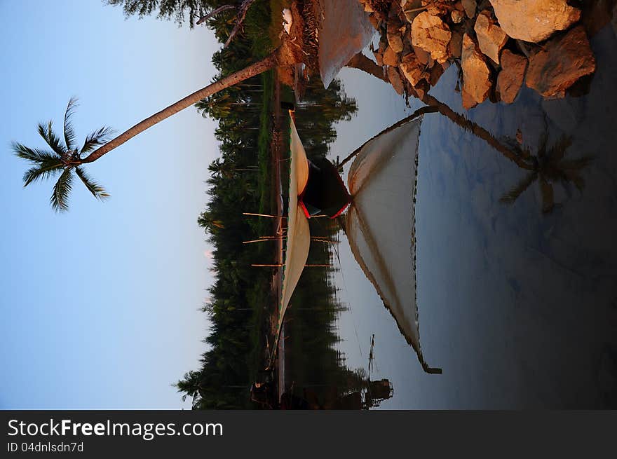 Coconut palm at the beach phangnga Thailand