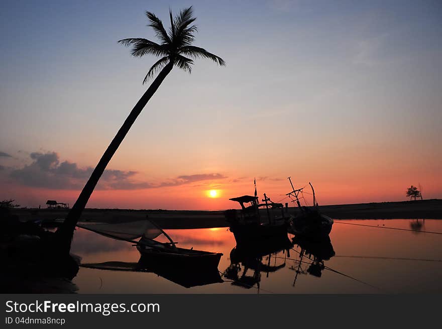 Coconut palm at the beach phangnga Thailand