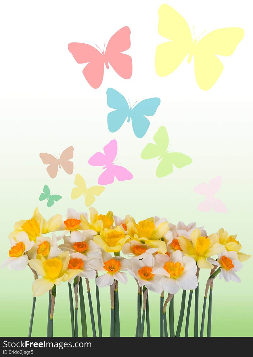 Beautiful color summer floral background with butterfly and place for sample text. Beautiful color summer floral background with butterfly and place for sample text