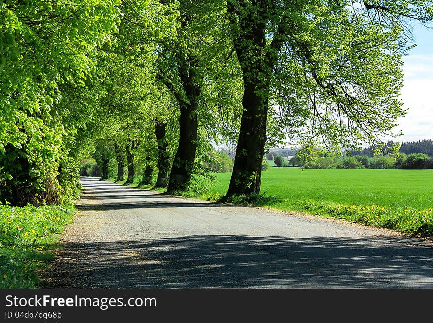 Old country road