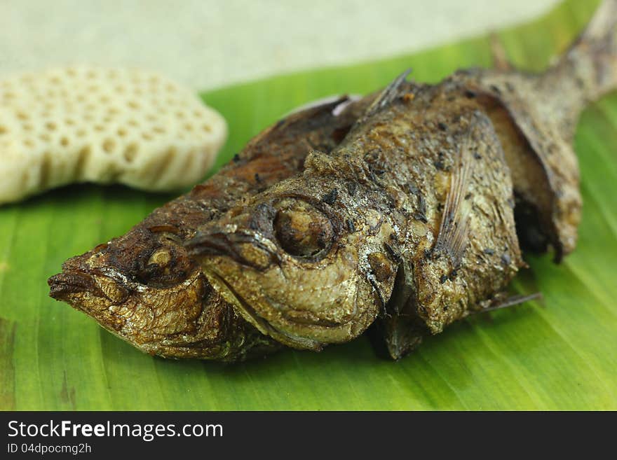 Fried fish