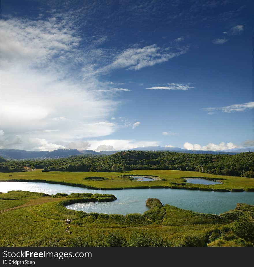 Sheep grazing in a quiet valley along the lake