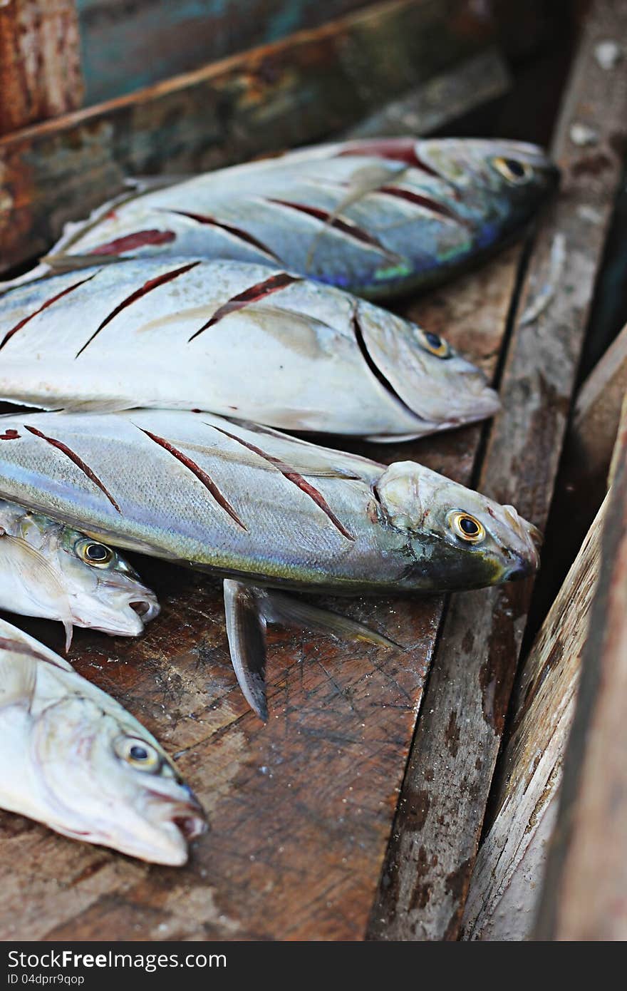 Cleaning the fresh catch of mackerel on the beach