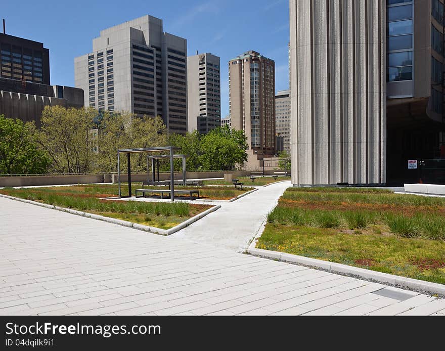 Green roof on urban building. Green roof on urban building