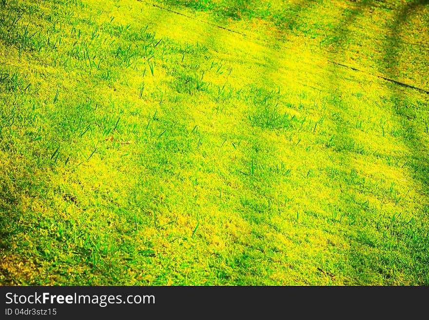 The shadow it is amazing sign on the yard. The shadow it is amazing sign on the yard