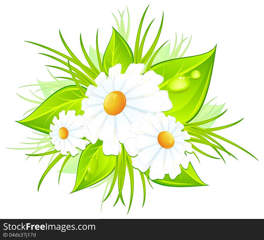 Bouquet Of Daisies