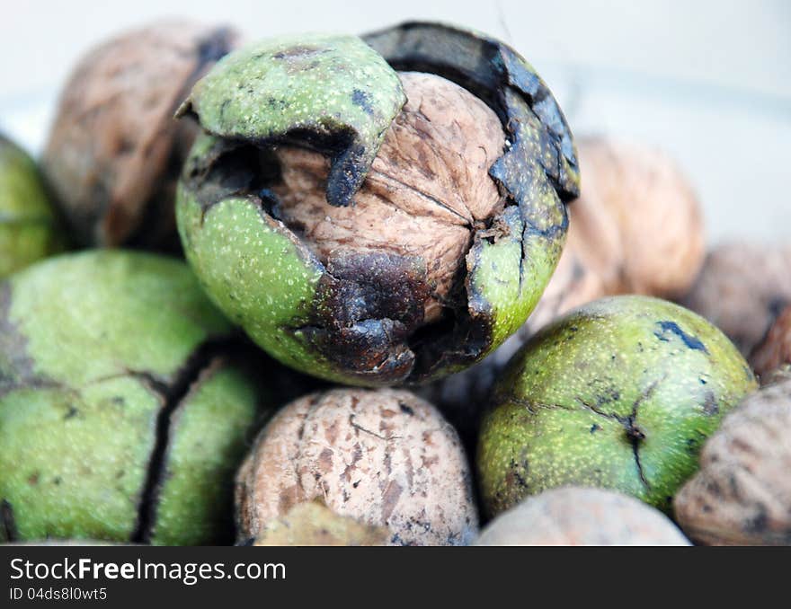 Picture of  a green Walnuts