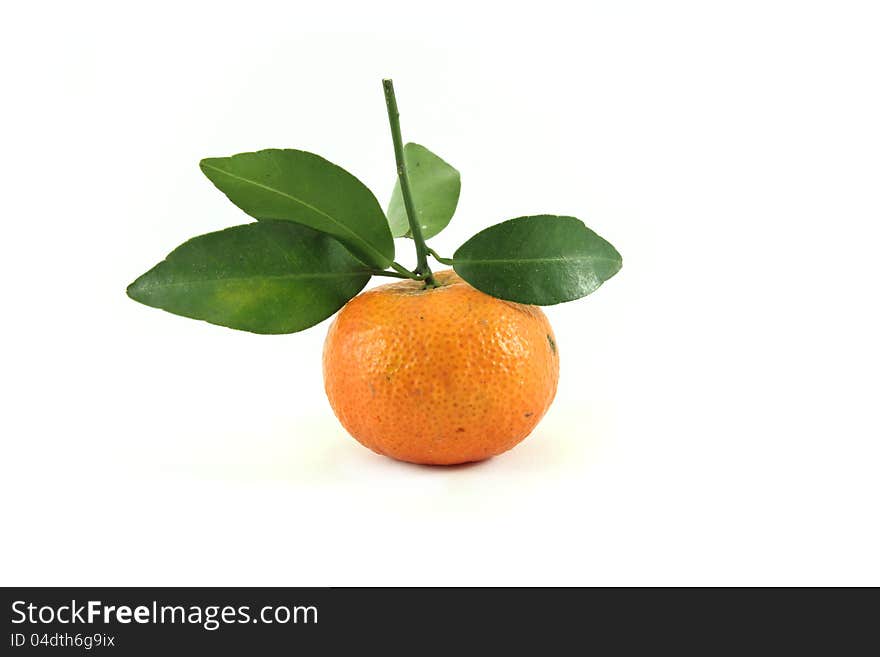 Orange fruit on white background