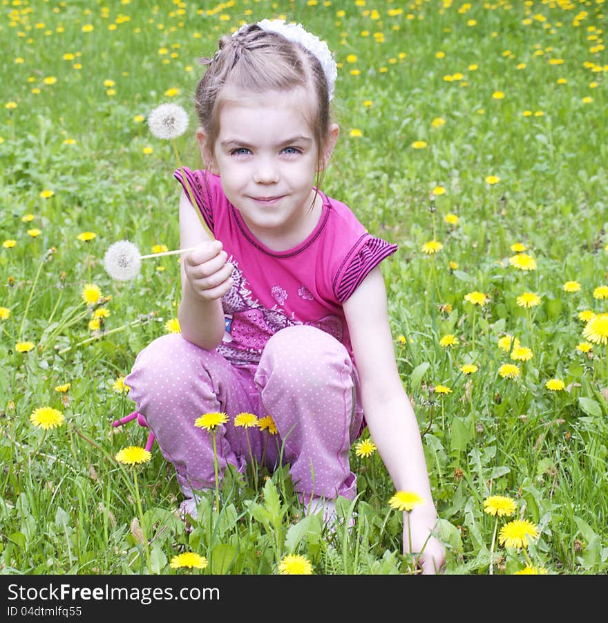 Little beautiful girl in a field of dandelions. Little beautiful girl in a field of dandelions