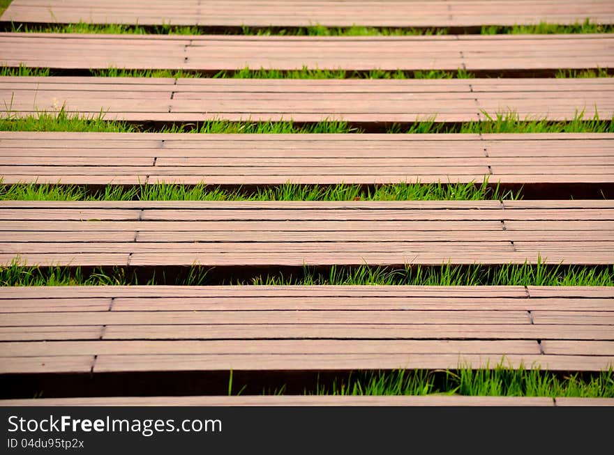 This is a boardwalk, a lot of grass grow in the cracks. This is a boardwalk, a lot of grass grow in the cracks