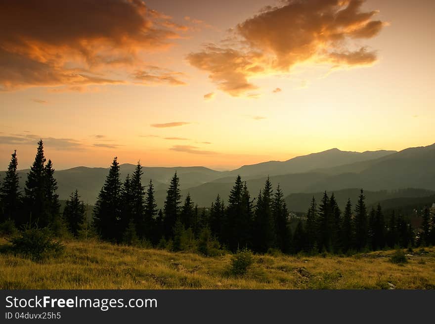 Beautiful Summer Landscape In The Mountains. Sunri