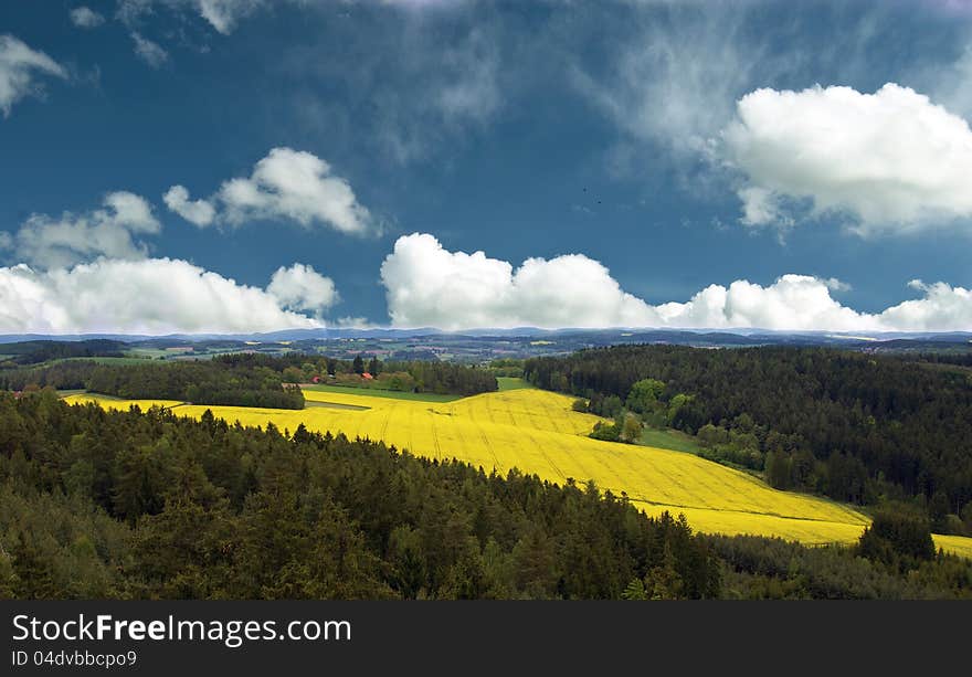 Spring fields and sky