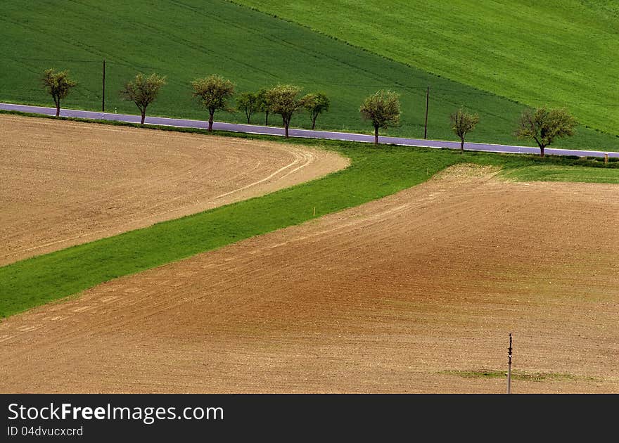 Spring landscape