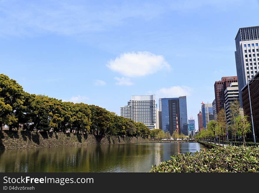 Tokyo CBD