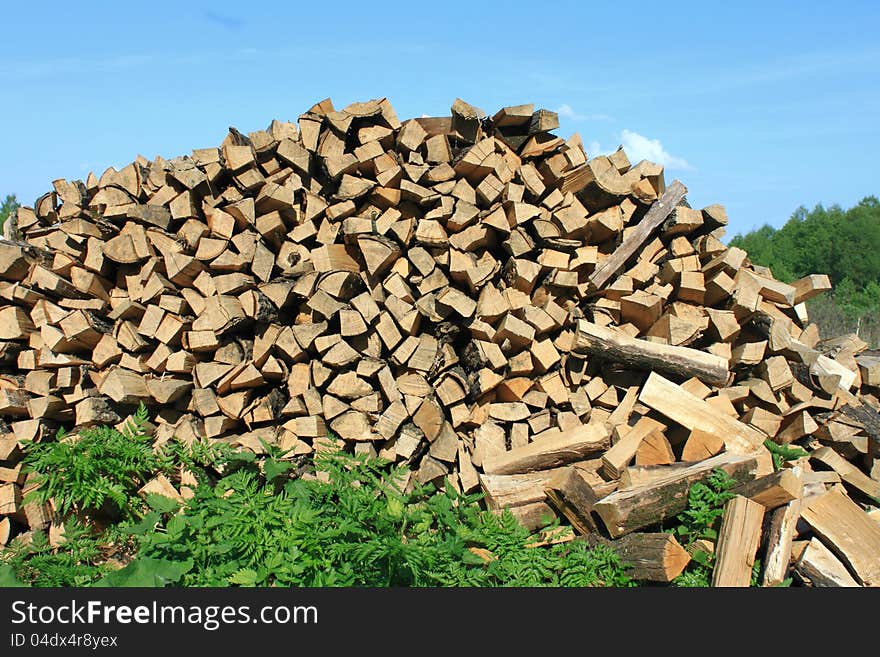A lot of firewood against the blue sky