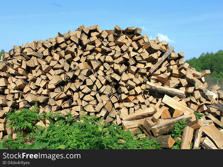 A lot of firewood