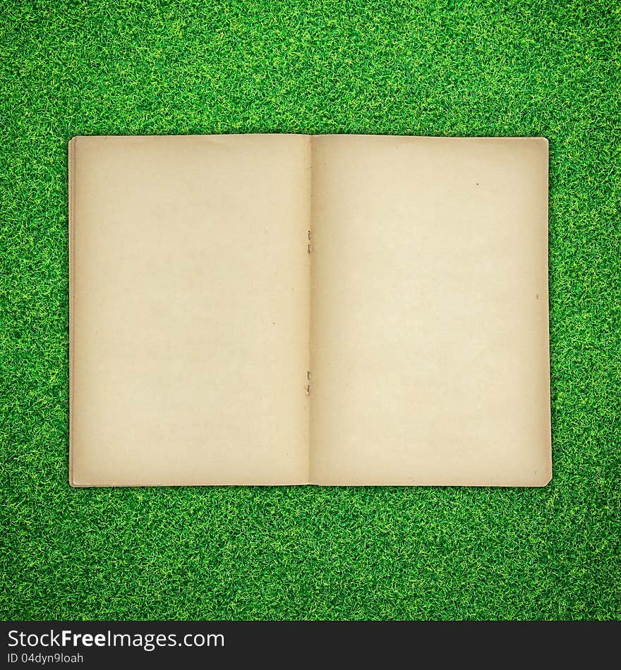 Old book open on green grass background