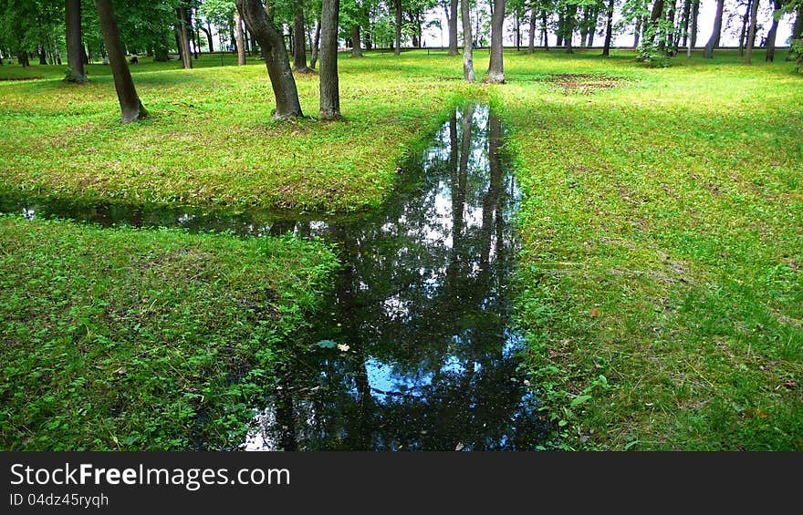 Full-flowing streams in the park