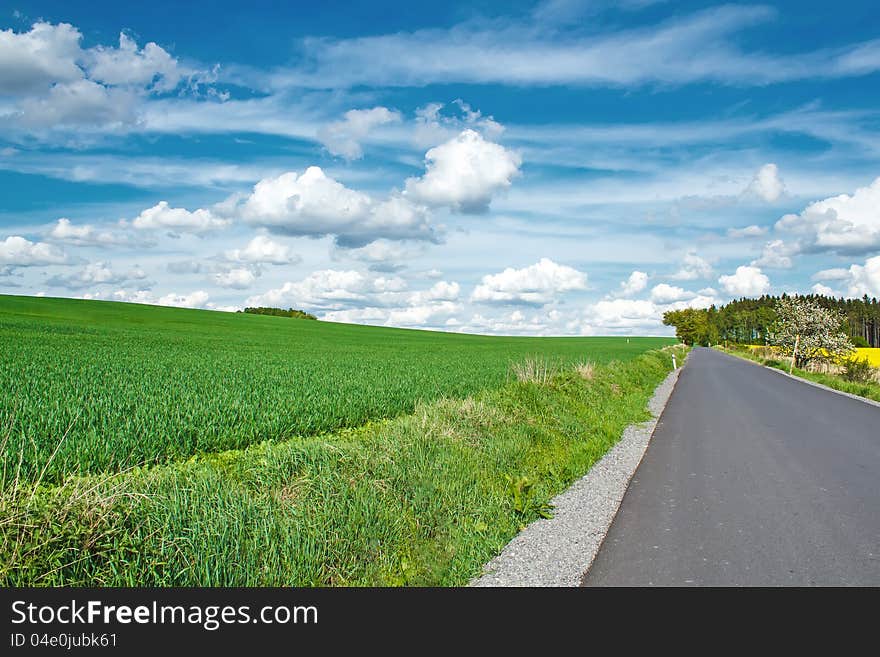 Beautiful summer rural landscape with green field and blue sky. Beautiful summer rural landscape with green field and blue sky