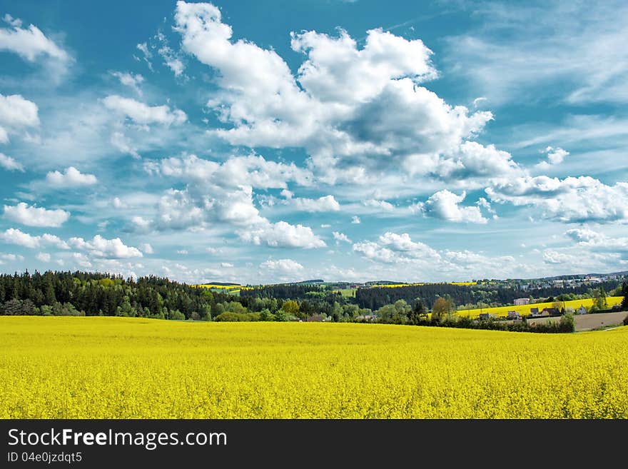 Beautiful summer rural landscape