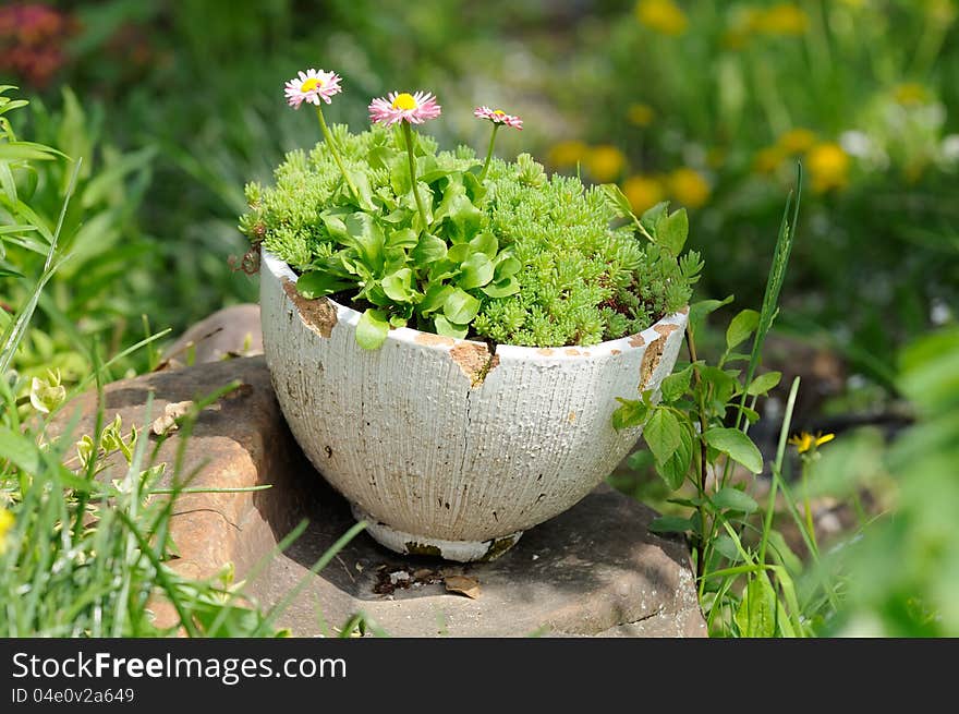 An old cracked pot with flowers on a stone in the garden. An old cracked pot with flowers on a stone in the garden