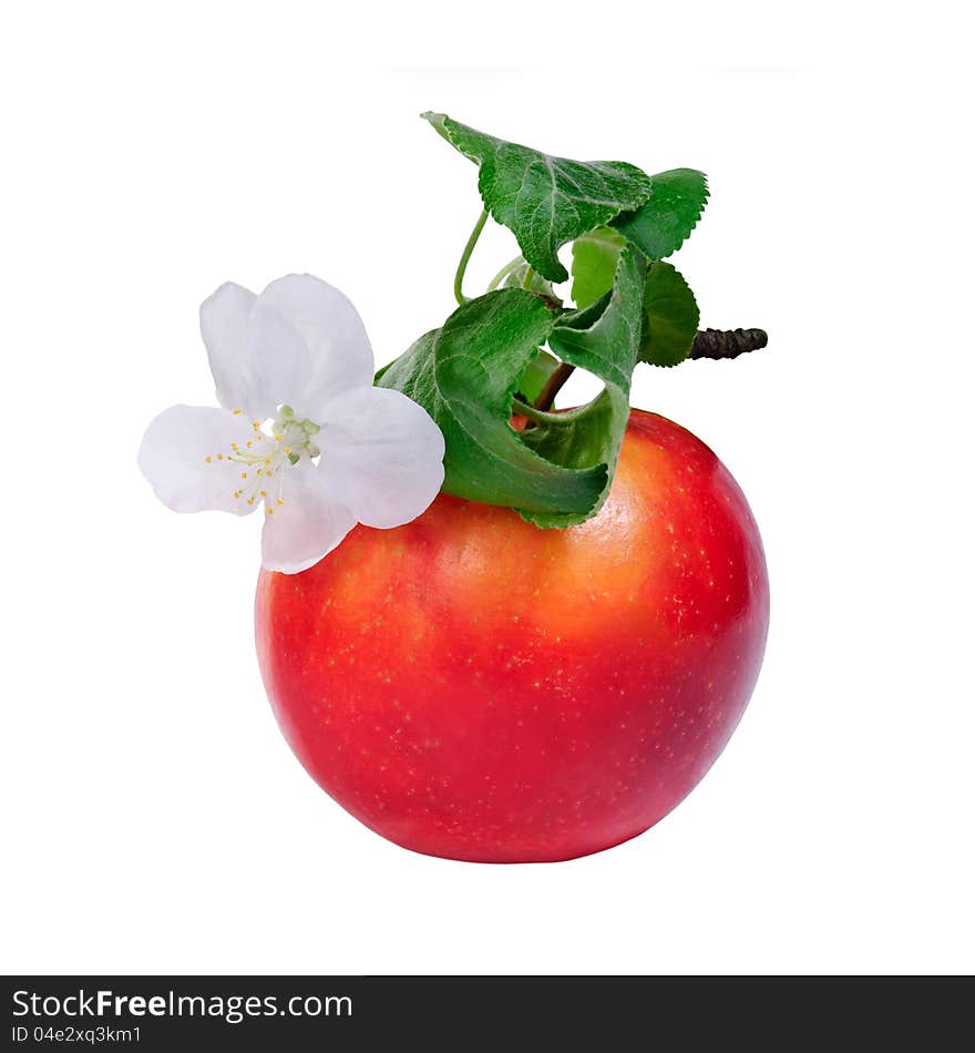 Red apple with flower