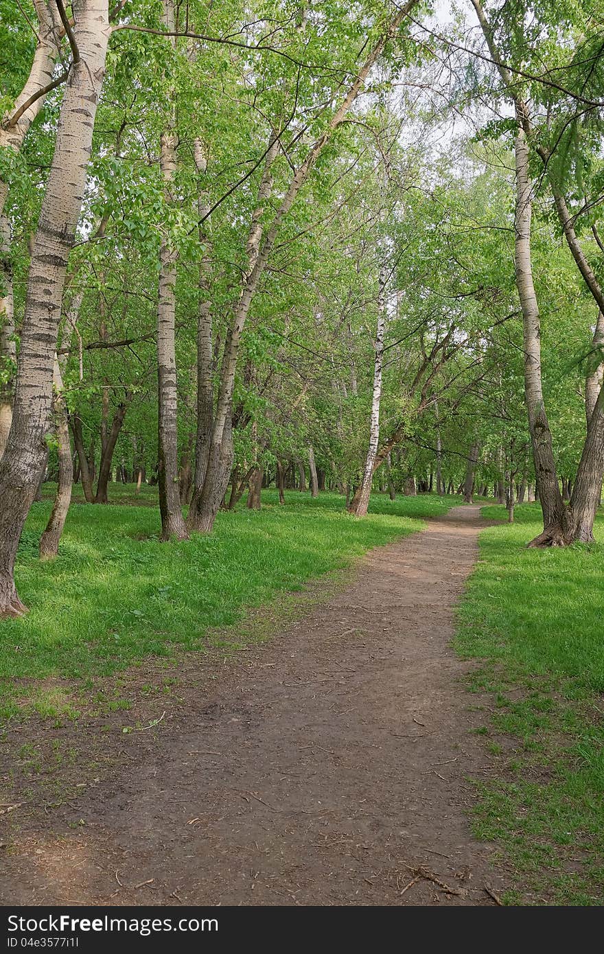 Footpath in spring park. Footpath in spring park.