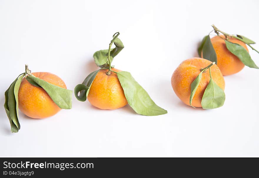 Tangerines