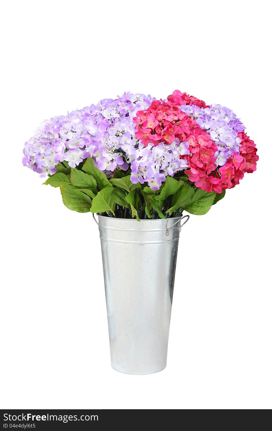 Fresh flower pot on white background. Fresh flower pot on white background.