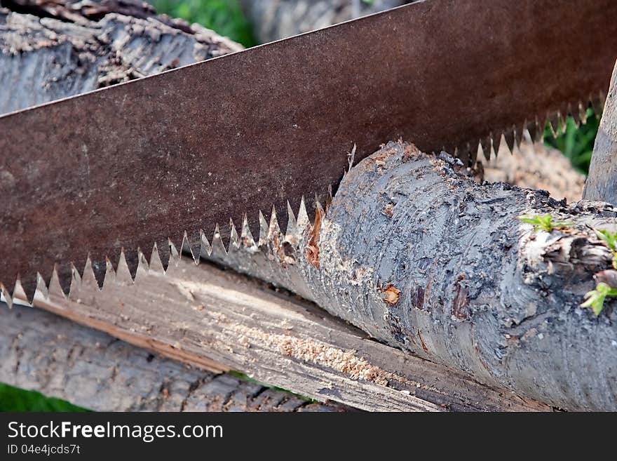 A saw saws a tree