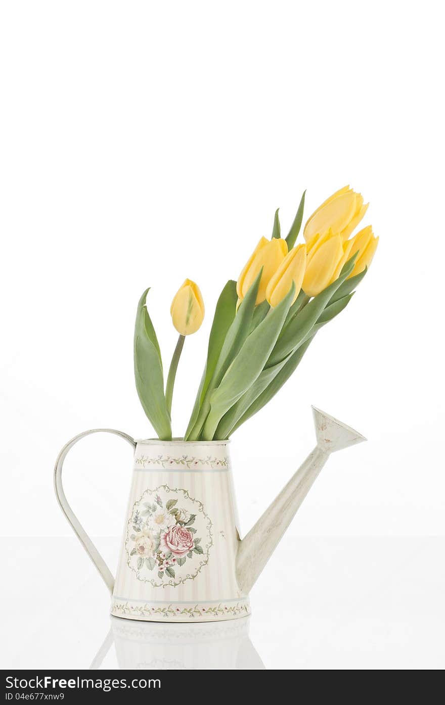 Beautiful spring cheerful tulips  in watering can isolated over white background. Beautiful spring cheerful tulips  in watering can isolated over white background