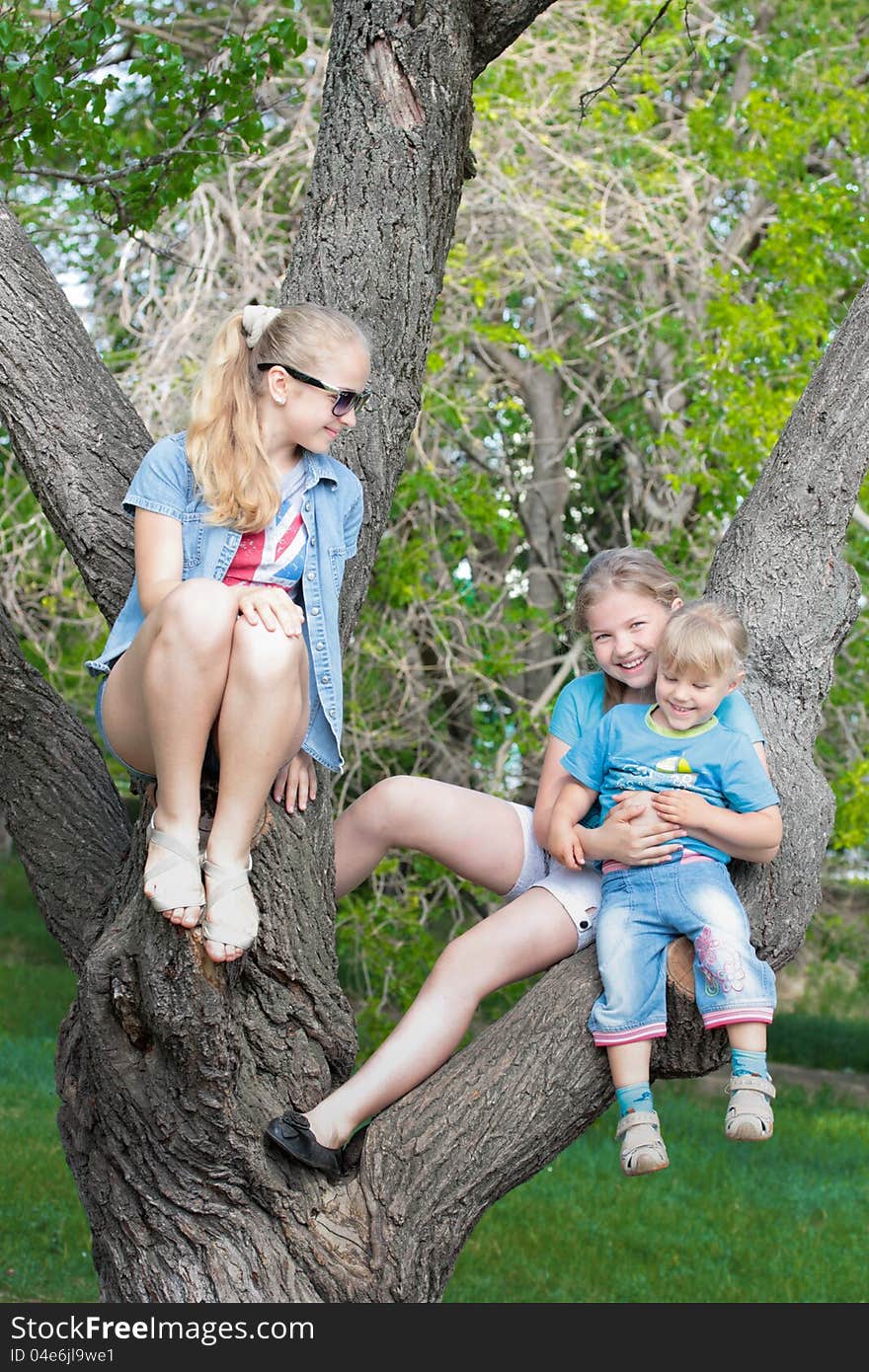 Three young beautiful girls on a tree. Three young beautiful girls on a tree