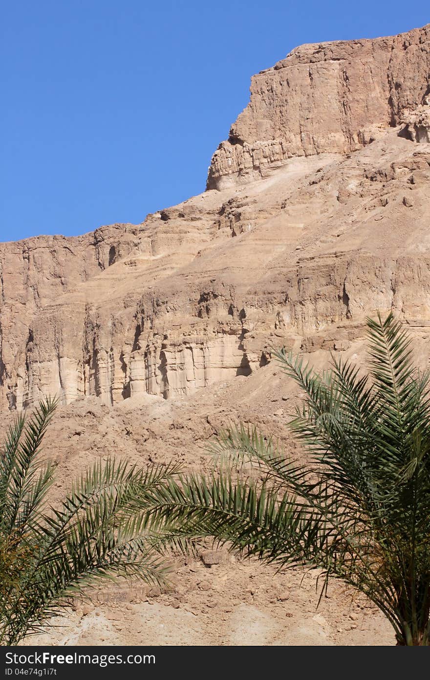 Desert mountain with palm trees negev desert isreal. Desert mountain with palm trees negev desert isreal