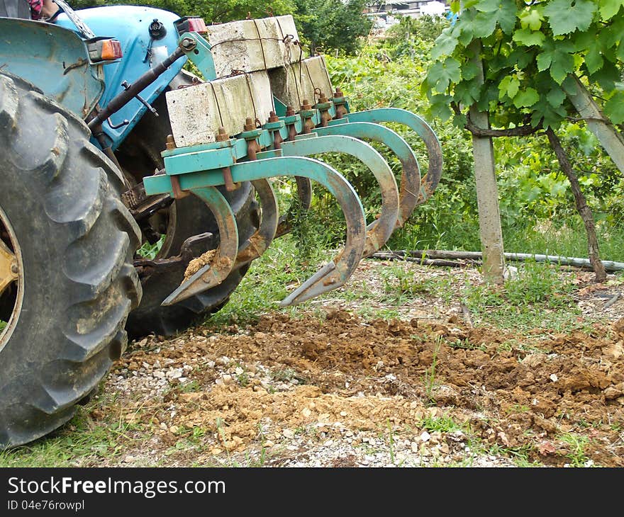 Cyan tractor plowing in an orchard. Cyan tractor plowing in an orchard