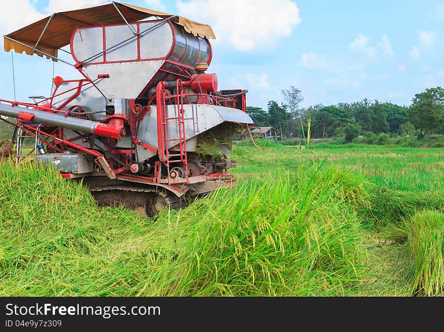 Harvester tractor working a rice field. Harvester tractor working a rice field