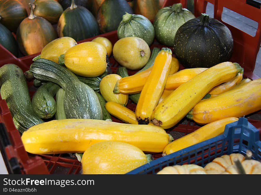 Freshly Picked Courgettes.