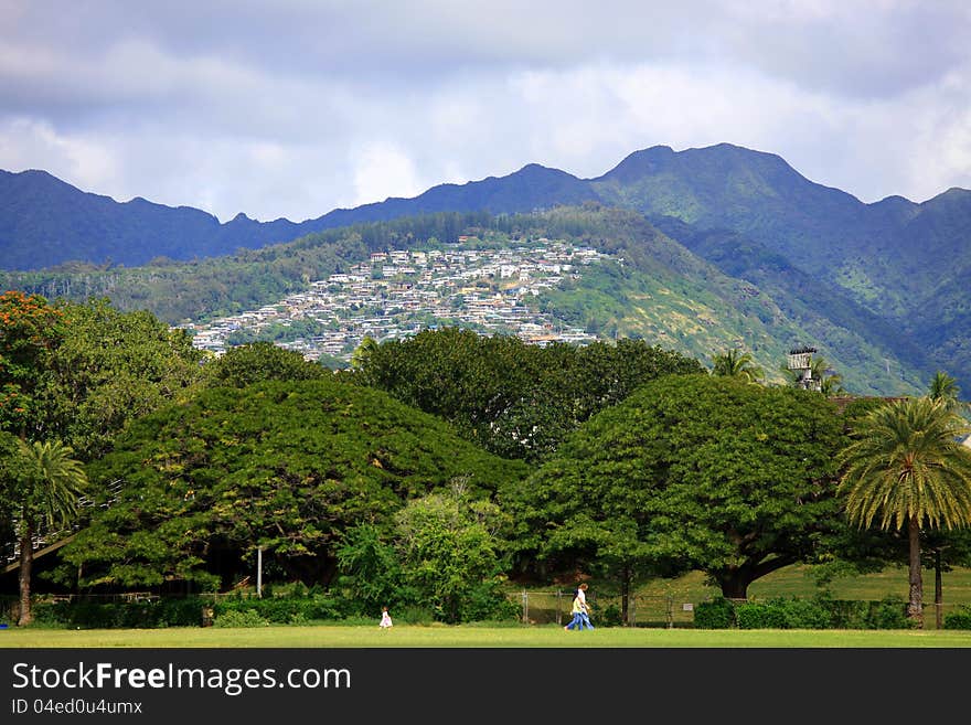 Walking at bottom of hill, underneath lush trees. Walking at bottom of hill, underneath lush trees