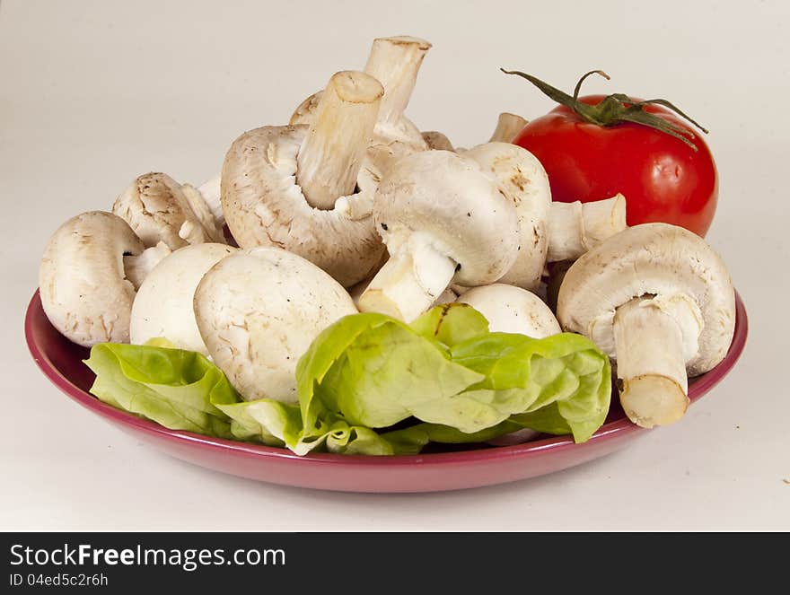 Fresh mushrooms and a tomato on red plate  on gray background