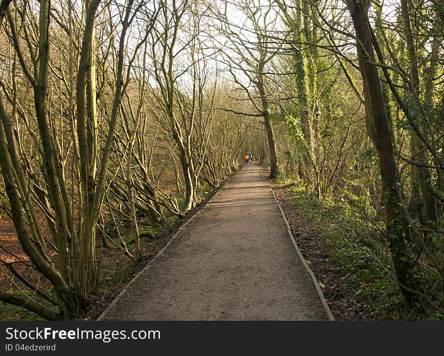 Joggers in the countryside