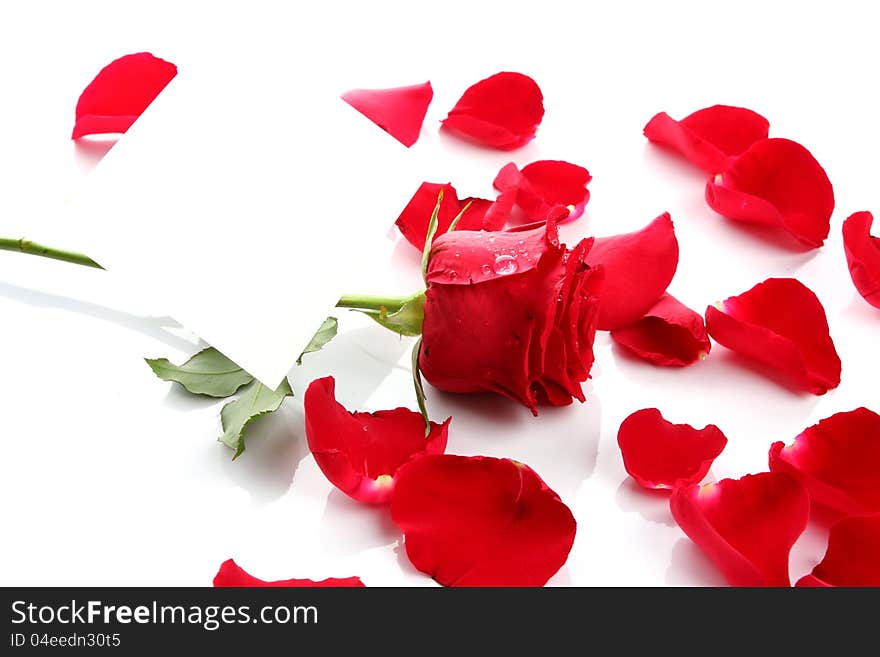 Beautiful red rose petals with blank paper